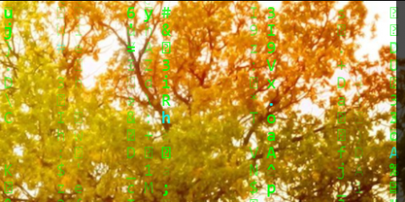 Head of the GRIDNET Project on the Taskbar